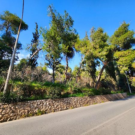 Cozy Apartment For 4 In Kolonaki, Lycabettus Athena Bagian luar foto