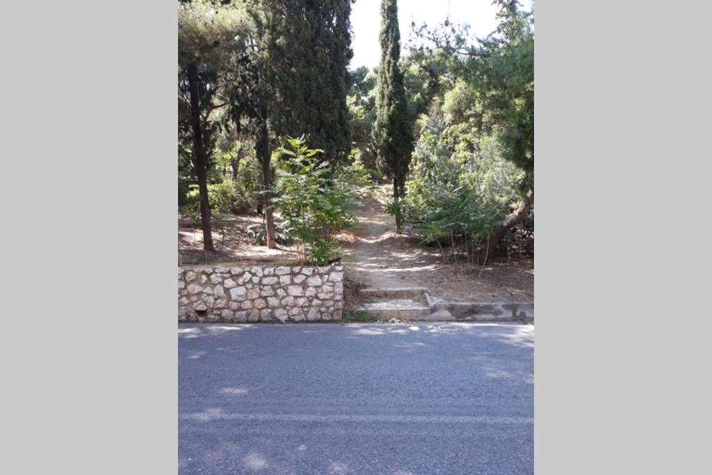 Cozy Apartment For 4 In Kolonaki, Lycabettus Athena Bagian luar foto